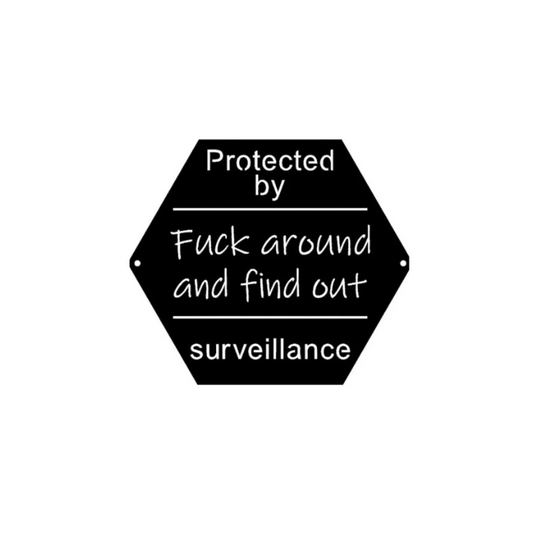 FAFO Surveillance ( Pkg of 4 ) ( A23 )