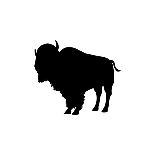 Buffalo Magnets (Pkg of 3) (B7)