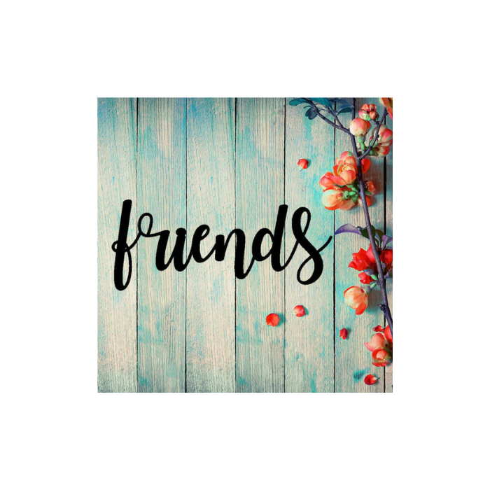 Friends are Fun Metal Wall Art (C35)